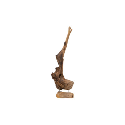 Teak Natural Driftwood Sculpture
