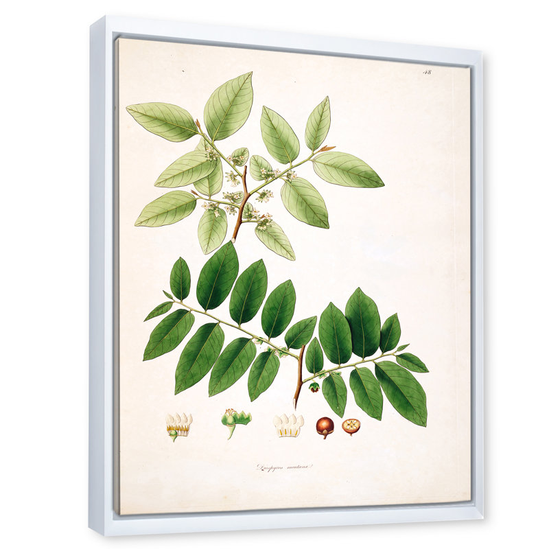 "Vintage Botanicals" - Peinture sur toile, H 32 po x l 16 po x P 1 po, Cadre flottant blanc
