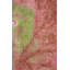 Tapis abstrait à motif naturel 4 x 6