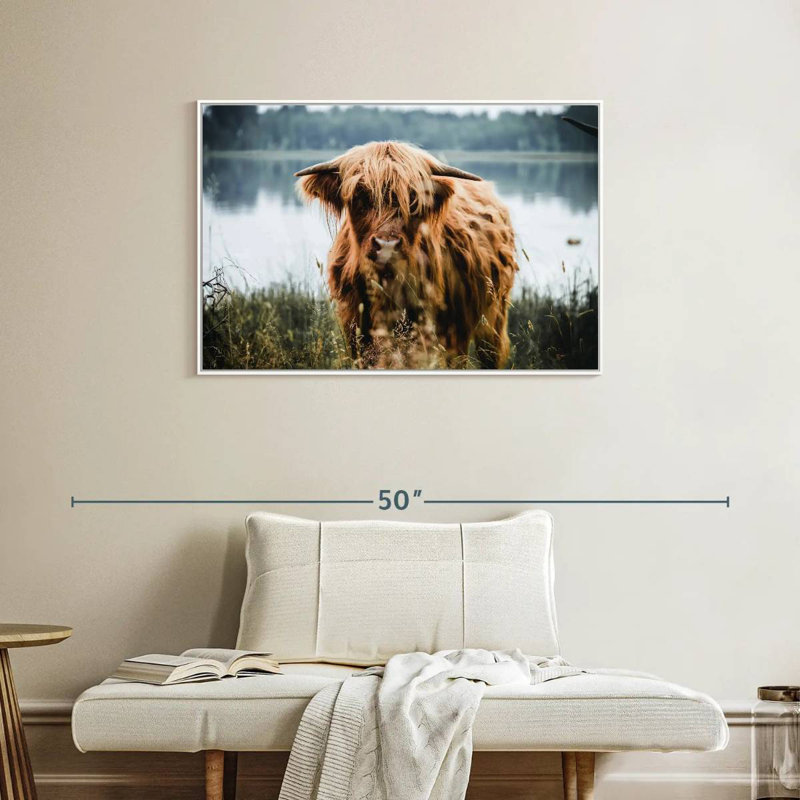 Vache Lakeside Highland, Cadre flottant blanc, 37 po x 25 po