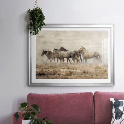 " Roaming Free "