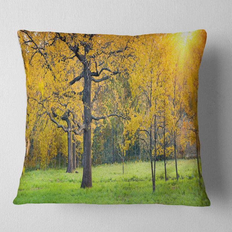 Coussin Sunny Park, 18 po x 18 po, Carré