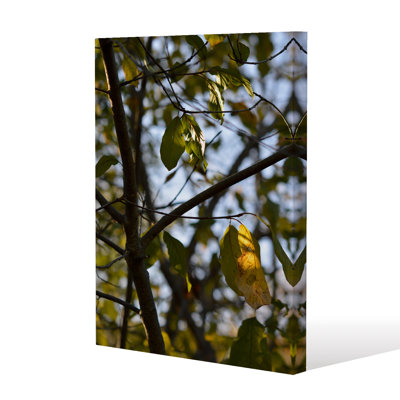1 Piece Wrapped Canvas Wall Art