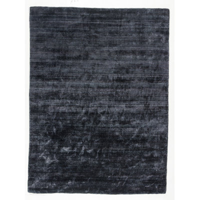 Hayner Viscose Indoor Rug