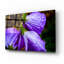 «Purple Rain» par Pamela Plummer-936616352
