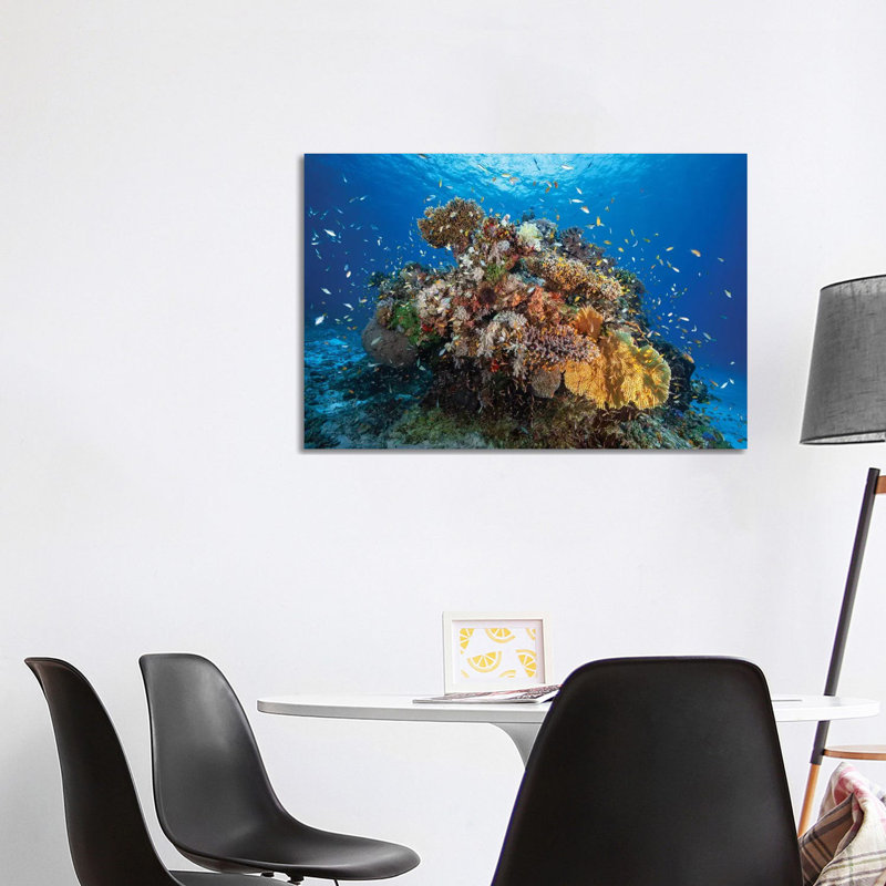 Underwater Biodiversity 1 Piece Wall Art on Canvas, 66.04cm H x 101.6cm W x 3.81cm D, Wrapped Canvas