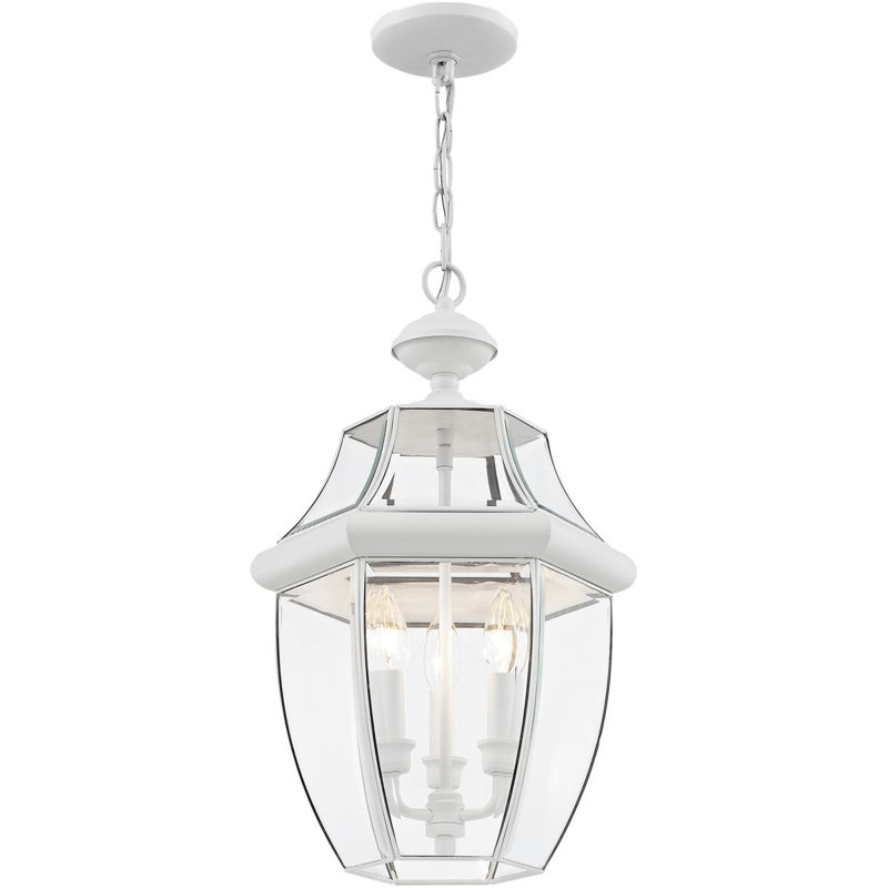 Outdoor Pendant Lighting Fixture with Clear Glass Shade, White