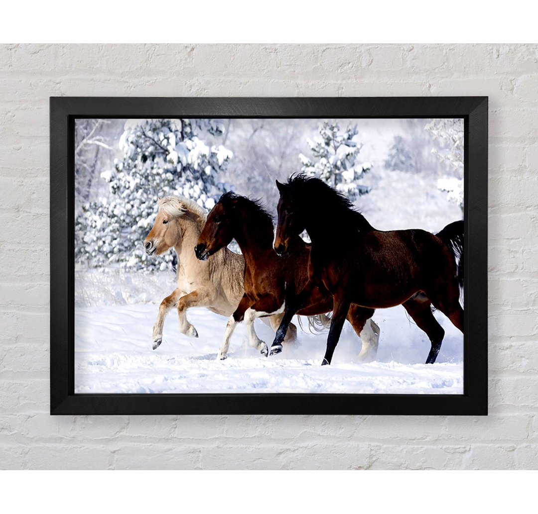 Wild Winter Horses Running - Einzelne Bilderrahmen Kunstdrucke