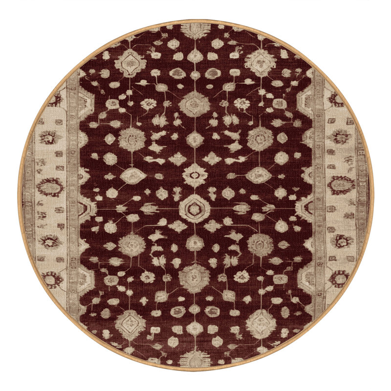 Machine Washable Overdyed Brown Area Rug, Round 5'