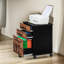 Calaw 40 cm W Filing Cabinet