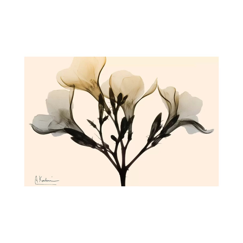 Oleander Dawn by Albert Koetsier - Wrapped Canvas Print, 101.6 cm H x 66.04 cm W x 3.175 cm D