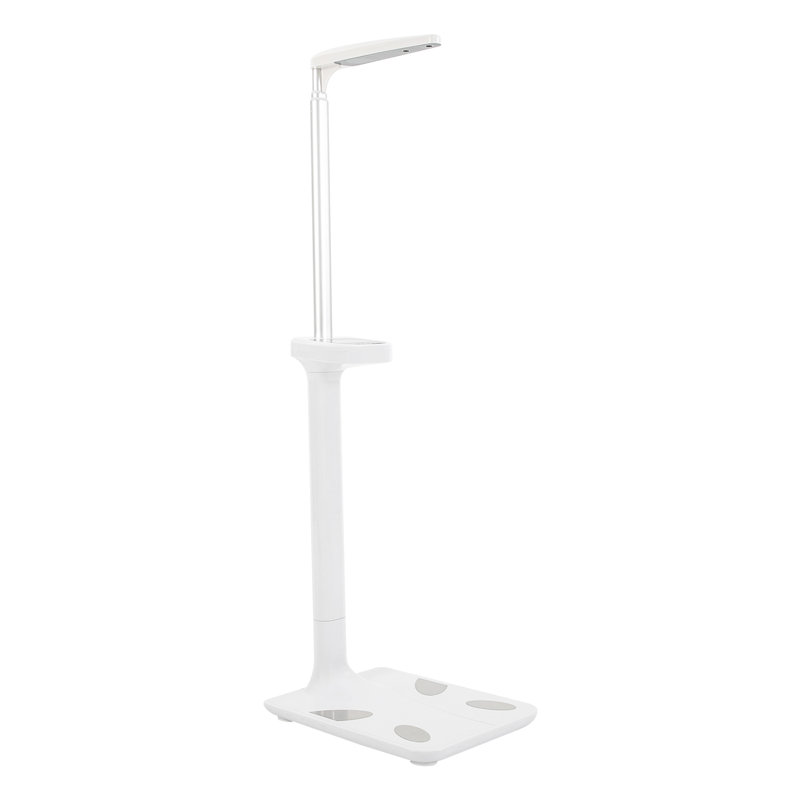 Multifunctional Digital Physician Scale 440LB 