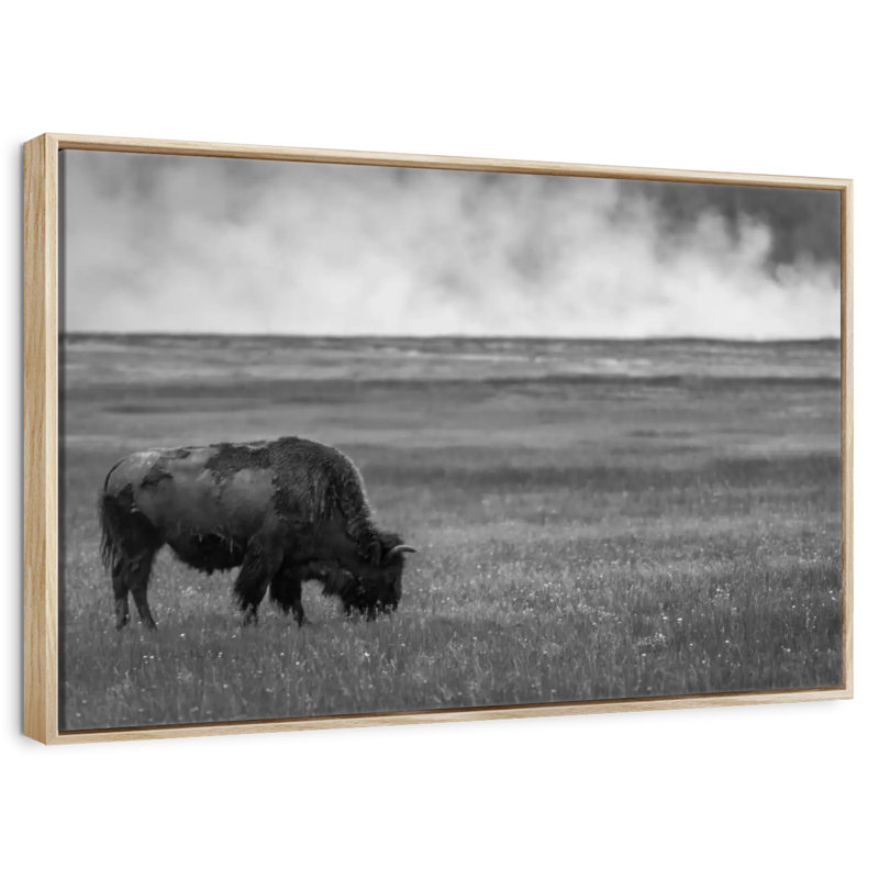 Yellowstone National Park, 19" X 13", Floating Frame Natural Wood