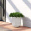 Atna Handmade Concrete Pot Planter-1220210901