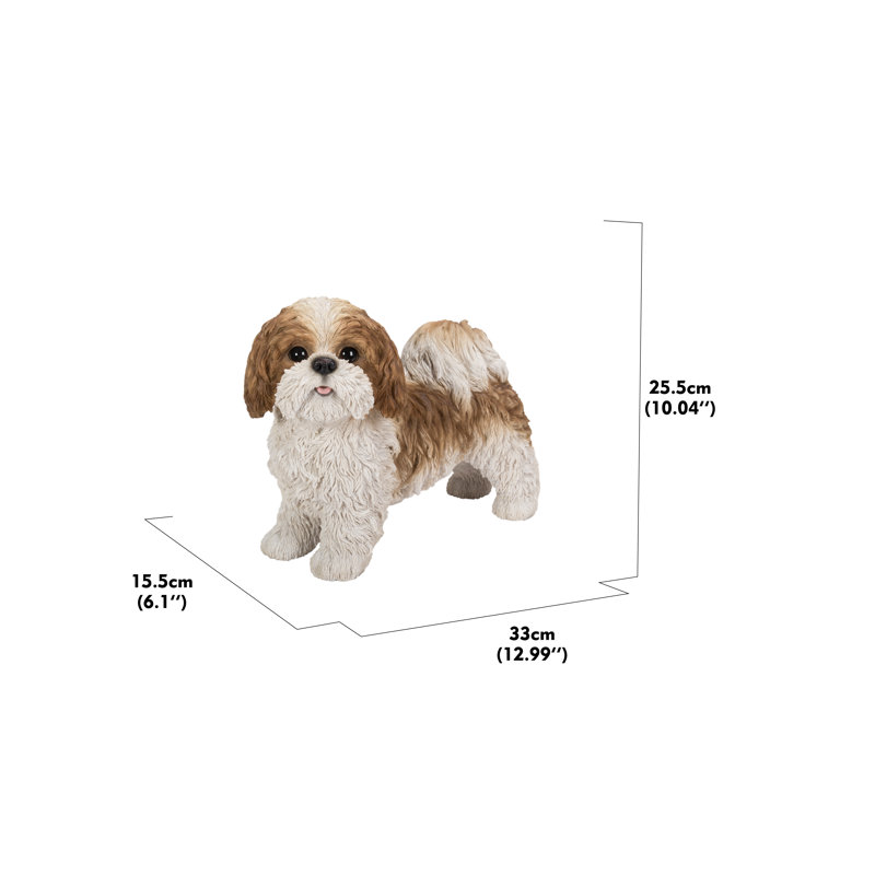 Standing Shih Tzu