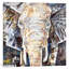 «Elephant's Gaze» par James Gray - impression sur toile-74621030-74621025-21472588