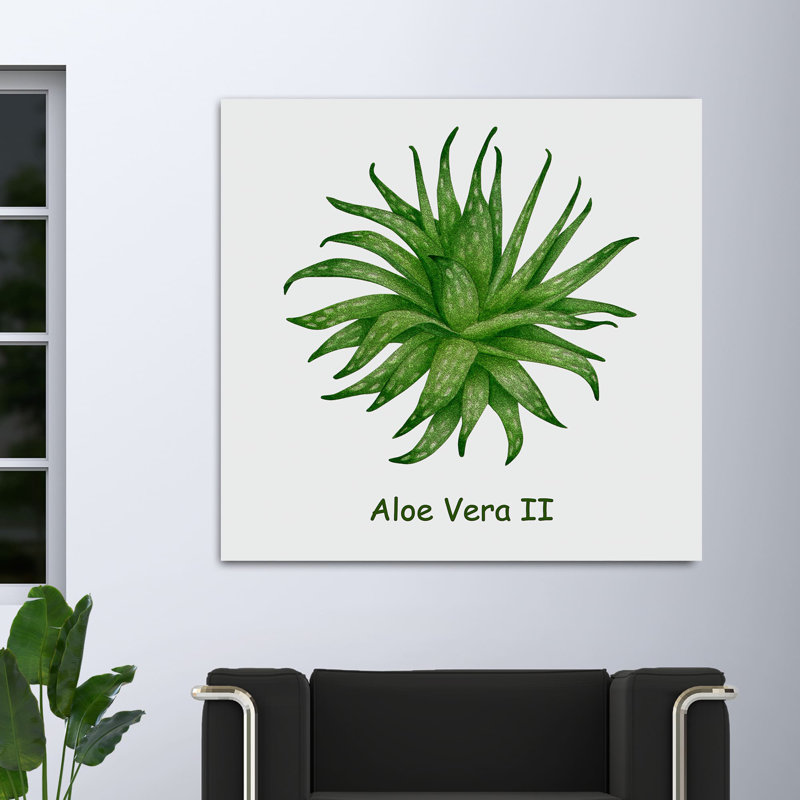 Cactus et plantes grasses 41 - reproduction sur toile tendue, H 8 po x l 8 po x P 1,5 po