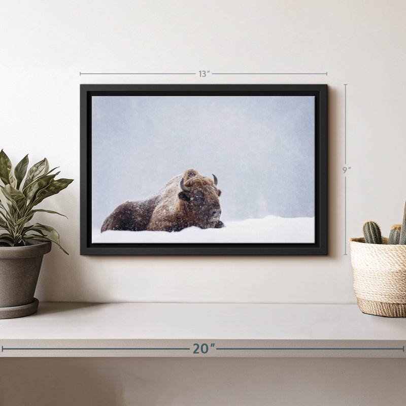 Impression de toile de bison «Snow Bathing», H 9 po x l 13 po