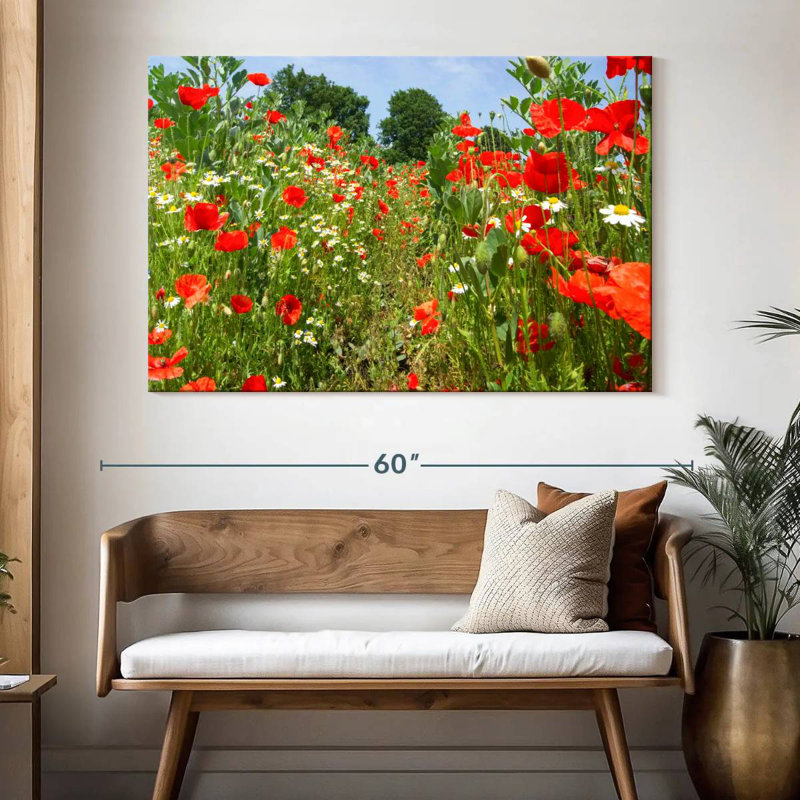Alvord Poppies And Daisies, 34" H x 51" W
