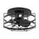 Anthony 12.5'' Black Caged Ceiling Fan with Lights and Remote Control, Small Flush Mount Ceiling Fan