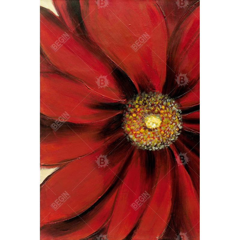 " Red Daisy "