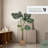 East Urban Home Artificial Monstera Plant 5 Feet Tall Tropical Palm Tree, 62 inches