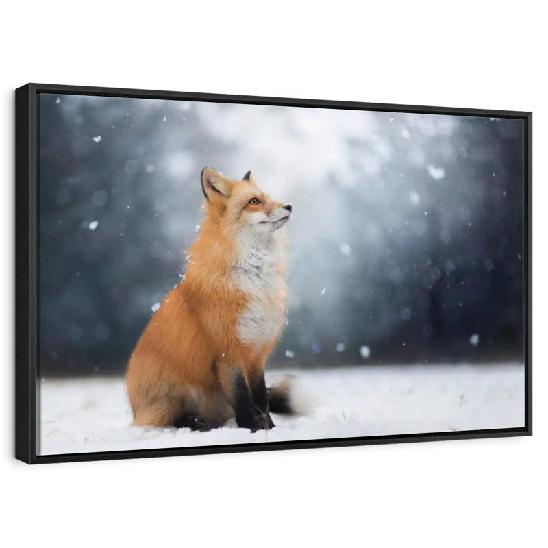 Dreamy Winter Fox, H 9 po x l 13 po