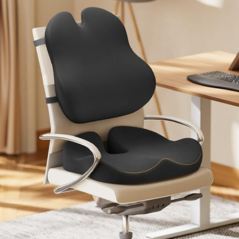 ARLINENS Back Support