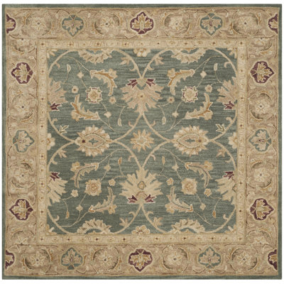 Antiquity Hand Tufted Wool Oriental Rug