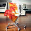 Gerbera floral avec oreiller raindrops-30721255-30721251