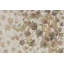One-of-a-Kind 9' X 12'3" Area Rug