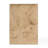 Cora Burl Wood 2-Drawer 26" Nightstand