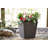 Pot Planter