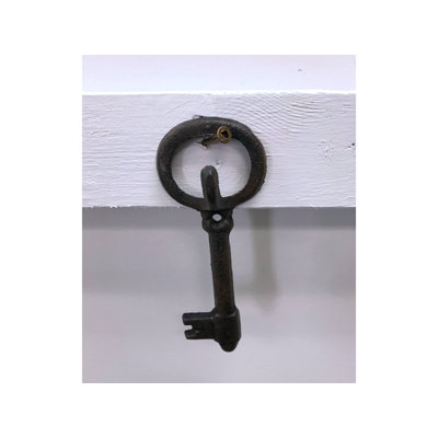 Aelia Iron Wall Hook