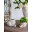 Pot à fleurs décoratif sable et ciment avec finition texturée beige-1909568256