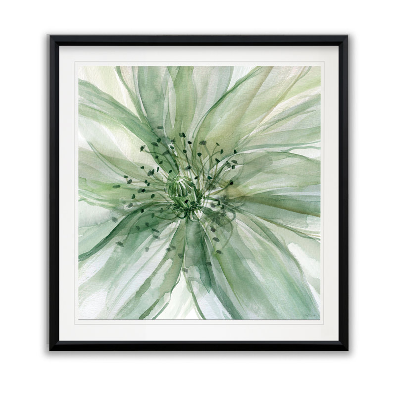 Macro sauge II - reproduction d'art, H 17,5 po x l 17,5 po x P 1,5 po, Impression encadrée, Black Plastic