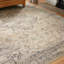 Claribel Oriental Indoor Rug-1151608195