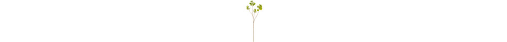 Artificial 4' Cotinus Coggygria Branch-20583959