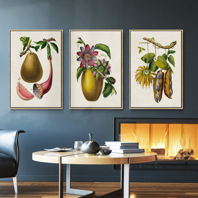 Ensemble de 3 pièces encadrées sur toile sépia botaniques IV, Naturel, H 27 po x l 54 po
