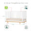 Bliss 4-in-1 Convertible Crib-218779781