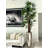 Lady Faux Palm Tree-98582423-98582424
