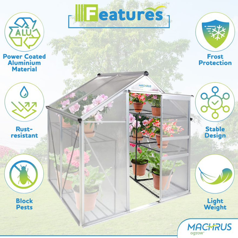 Machrus Ogrow 4 x 6 FT Walk-In Greenhouse with Sliding Door and Adjustable Roof Vent