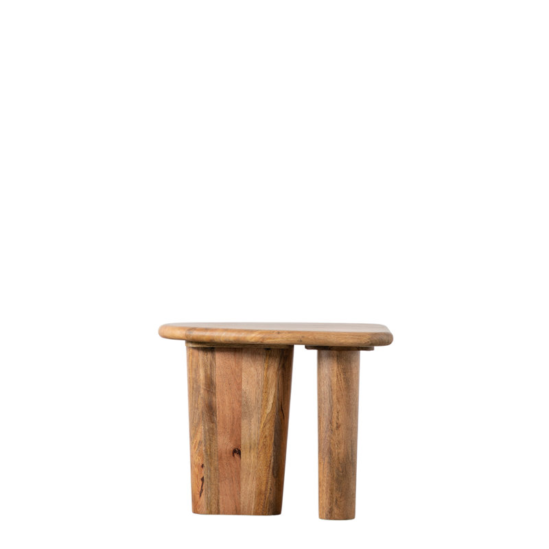 Zdenka Solid Wood Tree Stump End Table