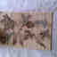 Photos des clients 1 de 1