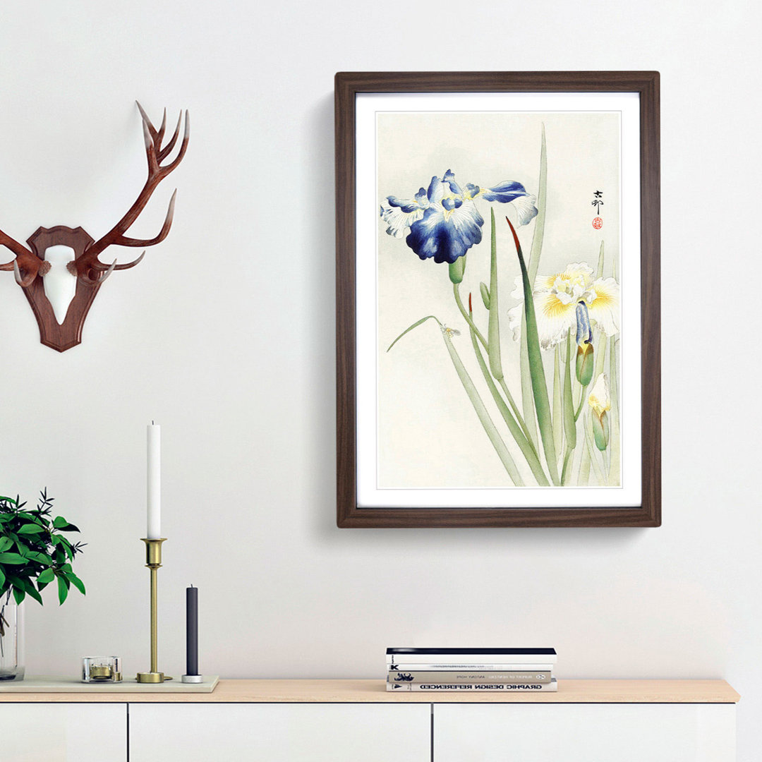 Irises by Ohara Koson - Framed Print