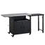 Chariot de barbecue pliable pour l'extérieur-659257306-659257307