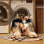  Tapis lavable Norwich Terrier-1340209805