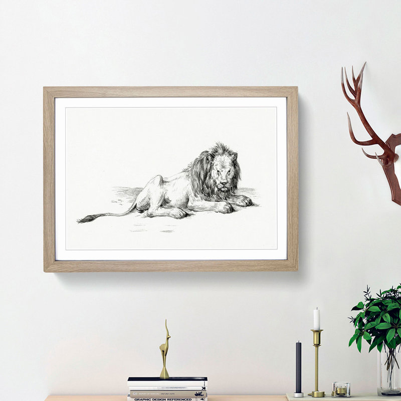 Sketch of a Lion by Jean Bernard - Picture Frame Drawing Print, 27cm H x 36cm W x 2cm D, Oak Framed