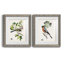 Oiseau antique, botanique et œuf III - ensemble de 2 reproductions d'art sur papier encadré-481924817-481924820