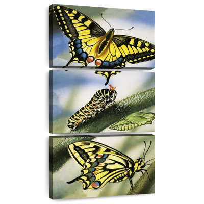 Butterflies